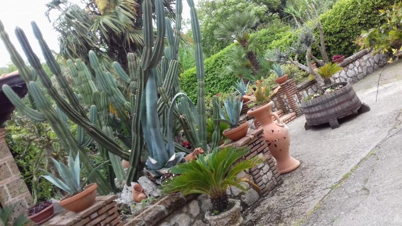 B&B Il Giardino Di Eolo Pietramelara Exteriér fotografie